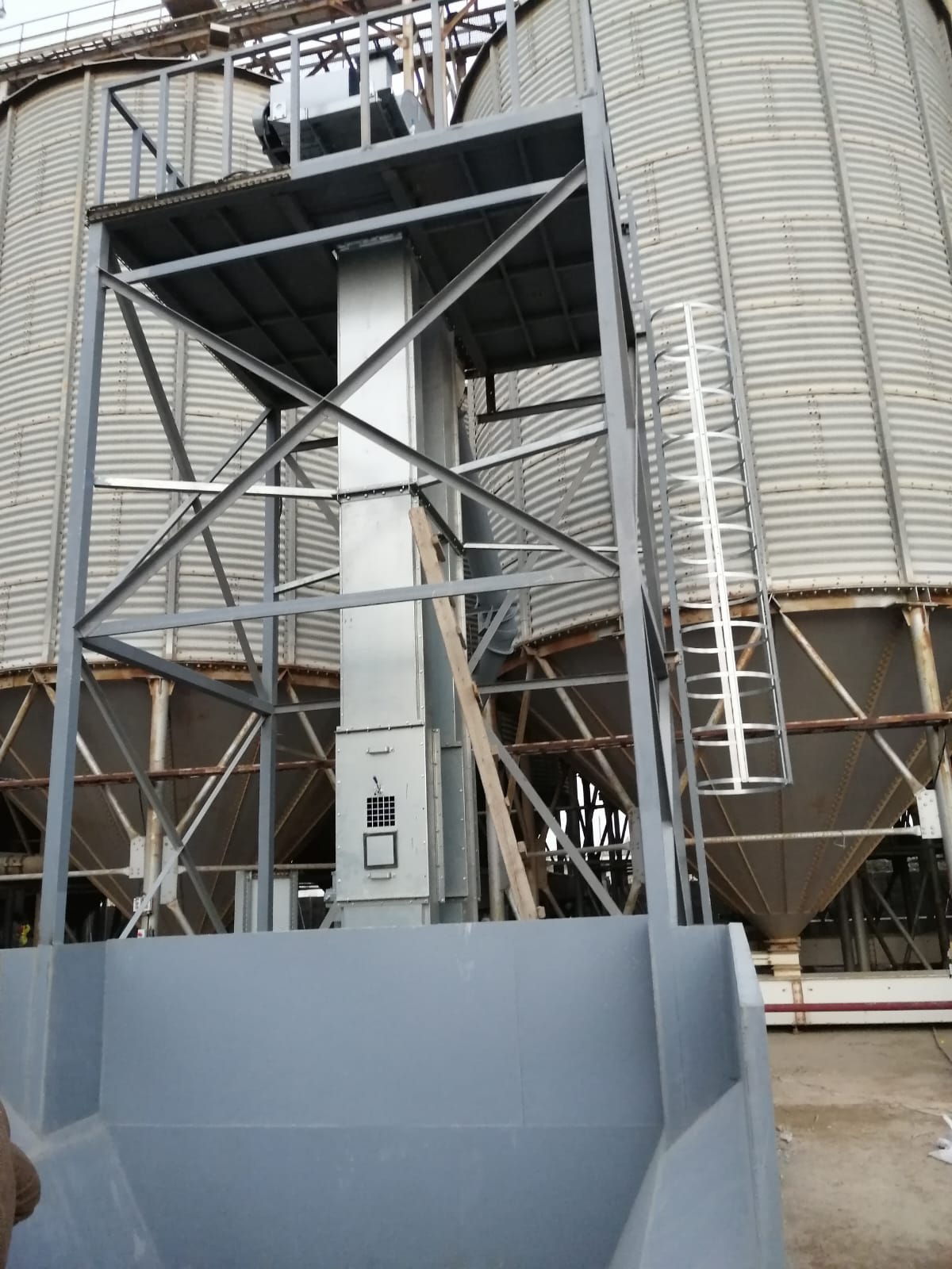Seed storage